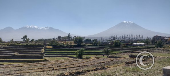 The Andenes (Terraces) archiological area still actively farmed