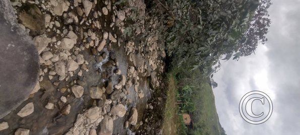 IMG_20250724_150436752_HDR