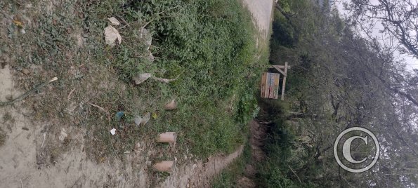 IMG_20250724_151618722_HDR