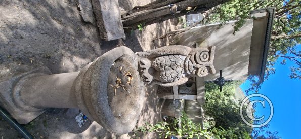 Cemetary (6)