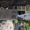 Cemetary (9)