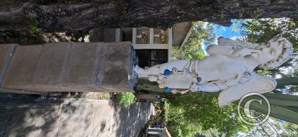Cemetary (9)