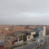 Pisco