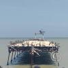 Muelle de Pisco