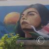 Parque San Martin - Av. Las Americas y Av. Genaro Medrano - Malecon (2)