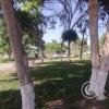 Plaza de la Bandera (2)