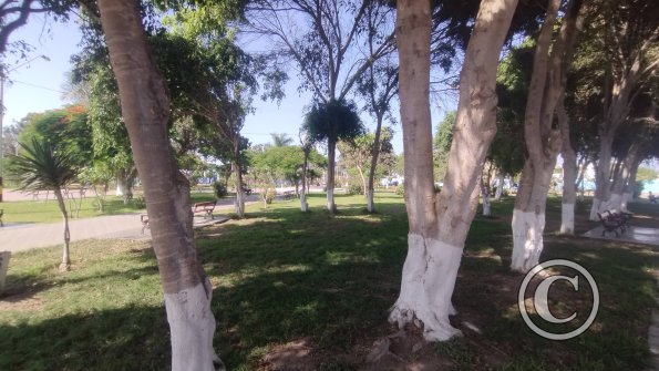Plaza de la Bandera (2)