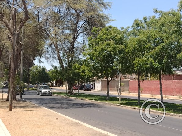 Av. Cadalzo y Jiron Otto Tonsman (2)