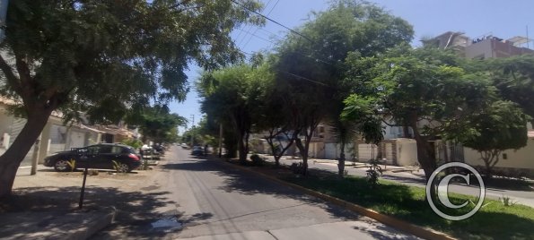 Av. Las Casuarinas near Manzanos