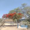 Parque Gainza - Felipe Santiago Salaverry
