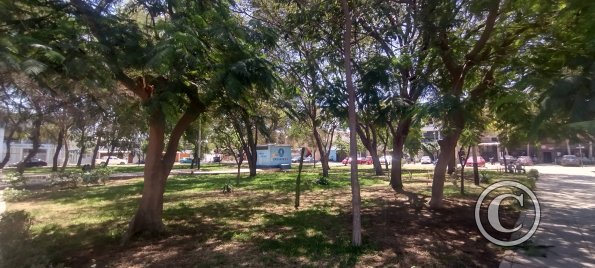 Parque Los Geranios at Los Cedros and Gardenias and Ceibos (2)
