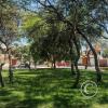 Parque Los Geranios at Los Cedros and Gardenias and Ceibos (3)