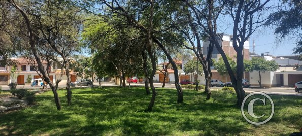Parque Los Geranios at Los Cedros and Gardenias and Ceibos (3)