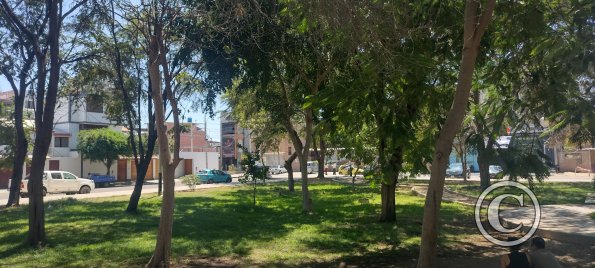 Parque Los Geranios at Los Cedros and Gardenias and Ceibos (4)