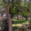 Parque Los Geranios at Los Cedros and Gardenias and Ceibos