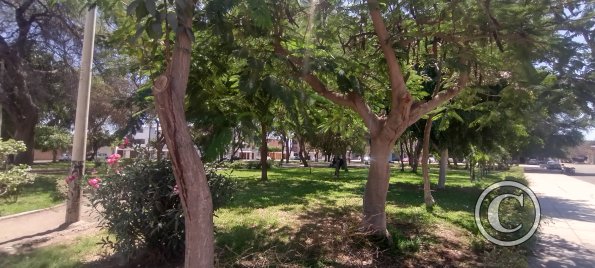 Parque Los Geranios at Los Cedros and Gardenias and Ceibos