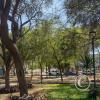 Parque San Juan Pablo II (3)