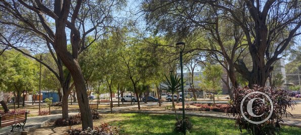 Parque San Juan Pablo II (3)