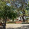 Parque San Juan Pablo II (4)