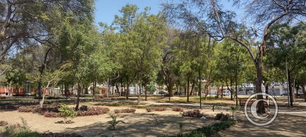 Parque San Juan Pablo II (6)