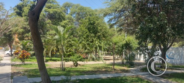 Parque Santa Maria I Etapa at Las Violetas and Granados (3)