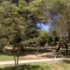 Parque Santa Maria I Etapa at Las Violetas and Granados (4)