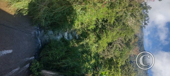 IMG_20250704_084719577_HDR