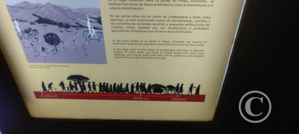 Museum Huaca Rajada - Sipan (7)
