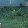 Parque Natural-Zoologico (16)