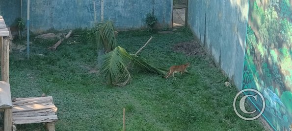 Parque Natural-Zoologico (16)