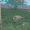 Parque Natural-Zoologico (18)