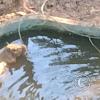 Parque Natural-Zoologico (19)