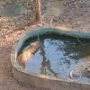 Parque Natural-Zoologico (20)