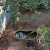 Parque Natural-Zoologico (21)