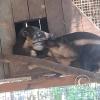 Parque Natural-Zoologico (24)
