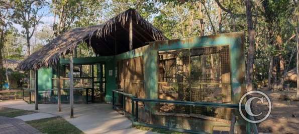 Parque Natural-Zoologico (25)