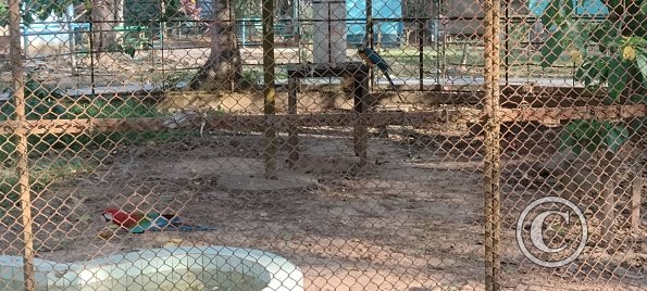 Parque Natural-Zoologico (29)