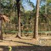 Parque Natural-Zoologico (3)
