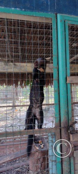 Parque Natural-Zoologico (36)