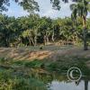 Parque Natural-Zoologico (37)