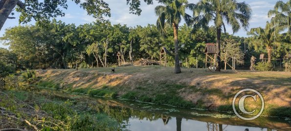 Parque Natural-Zoologico (37)