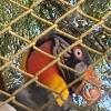 Parque Natural-Zoologico (6)