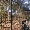 Parque Natural-Zoologico (8)