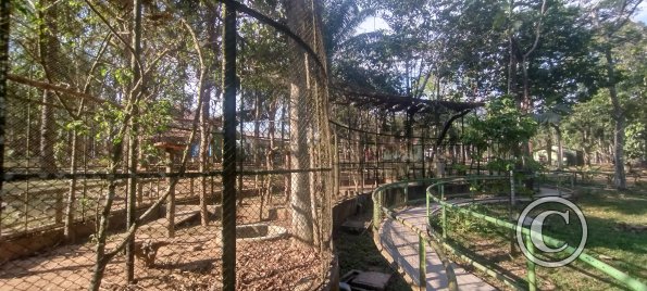 Parque Natural-Zoologico (8)