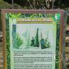 Parque la Lupuna (16)