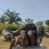 Parque la Lupuna (17)