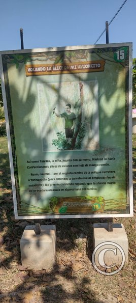 Parque la Lupuna (24)