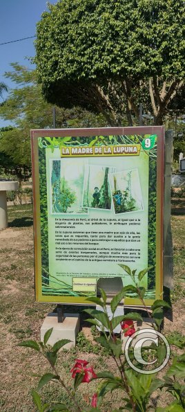 Parque la Lupuna (30)