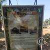 Parque la Lupuna (32)