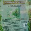 Parque la Lupuna (6)